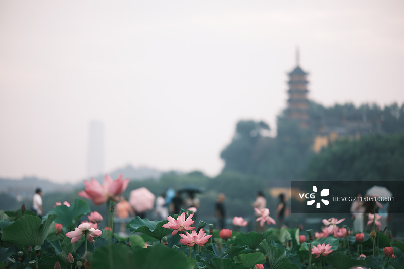 且陶陶，乐尽天真图片素材