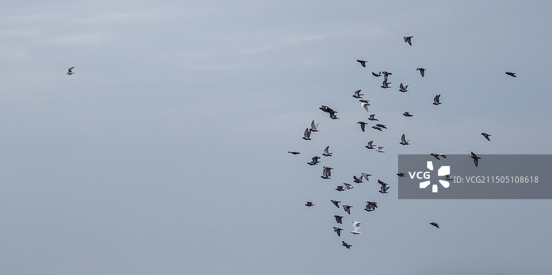 鸟瞰天空的低角度鸟瞰图图片素材