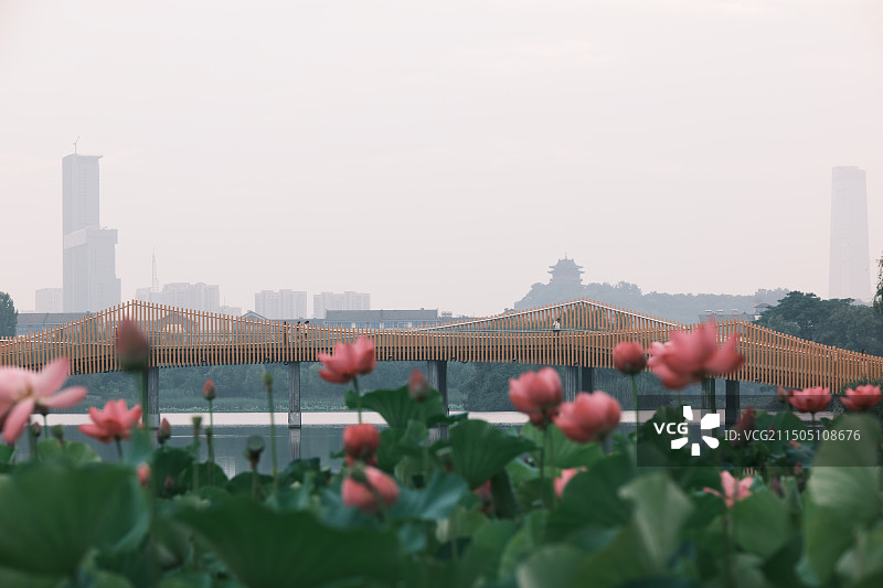 且陶陶，乐尽天真图片素材