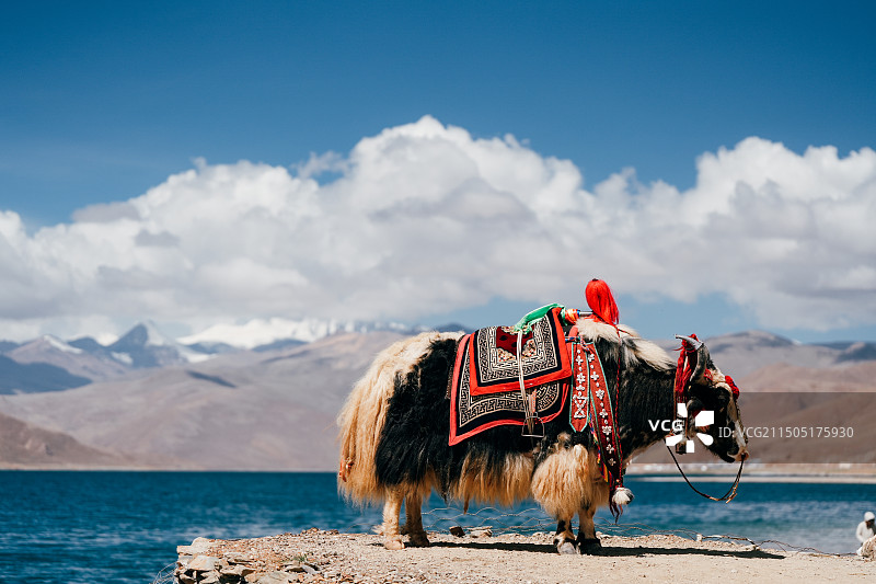 西藏旅拍图片素材