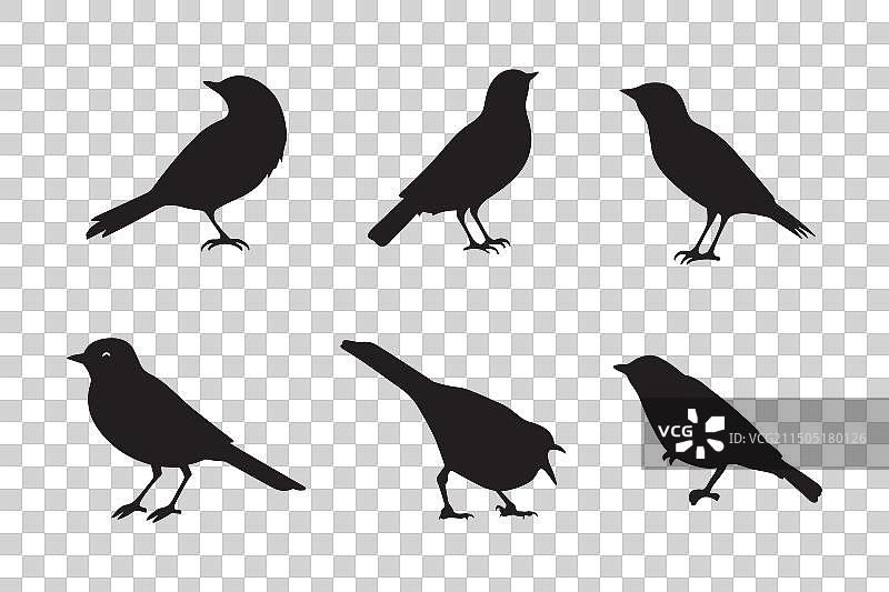 黑色鸟类剪影合集图片素材