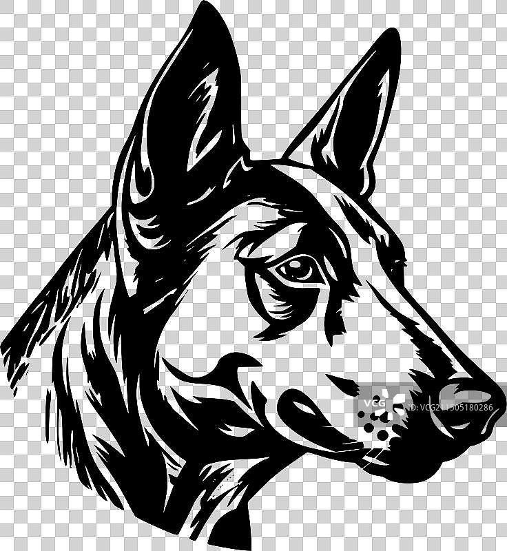 澳大利亚卡尔比犬 - 简约风格图片素材