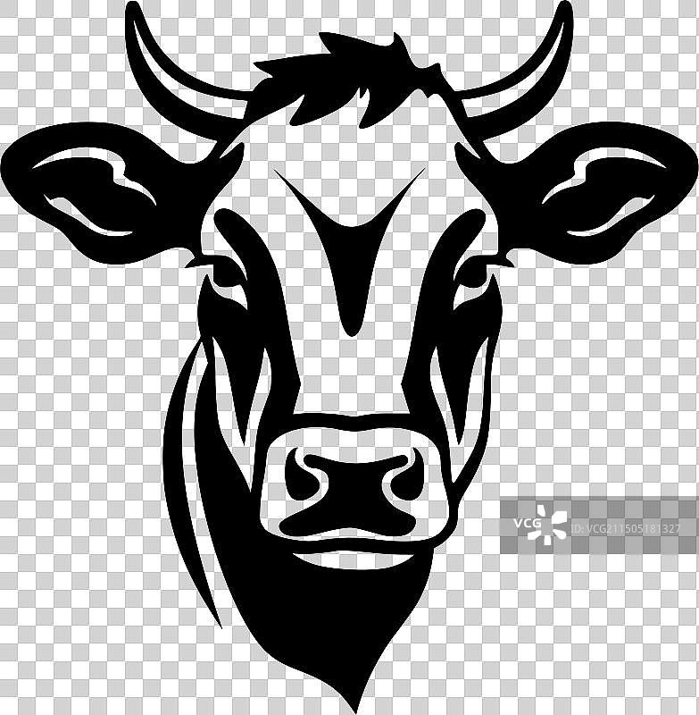 黑白花纹的奶牛图片素材