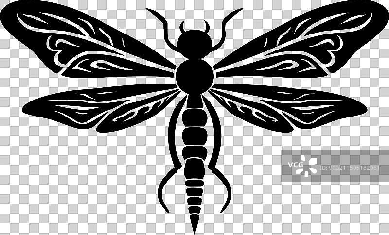 高品质蜻蜓Logo，T恤理想素材图片素材