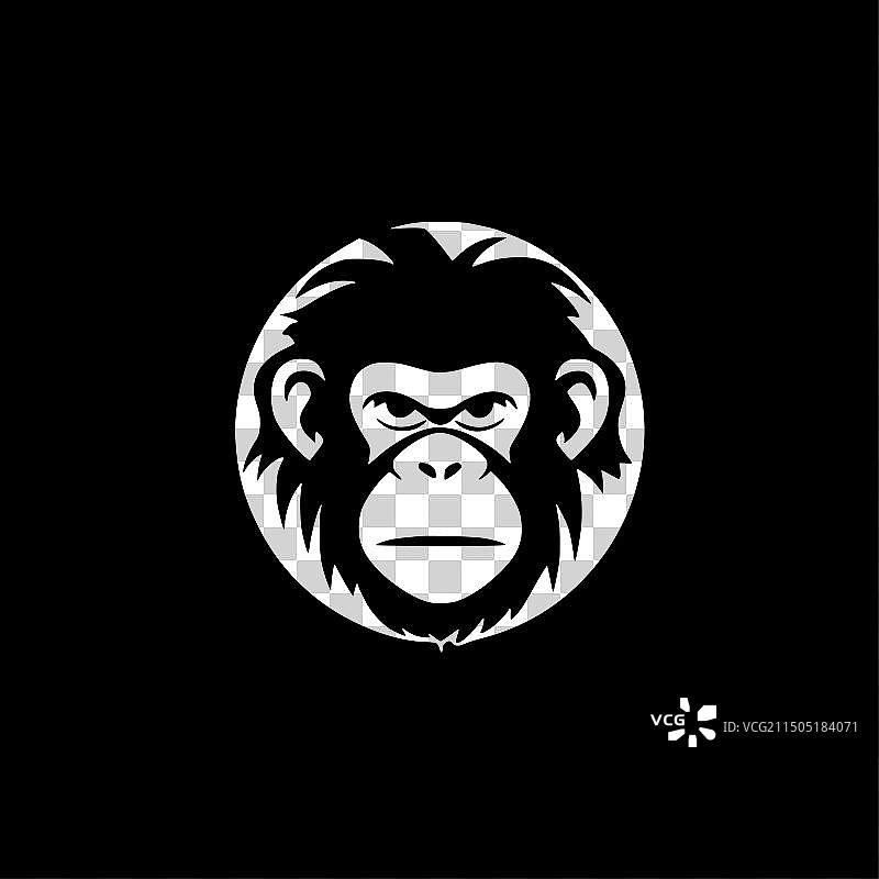 黑白猴子图片素材