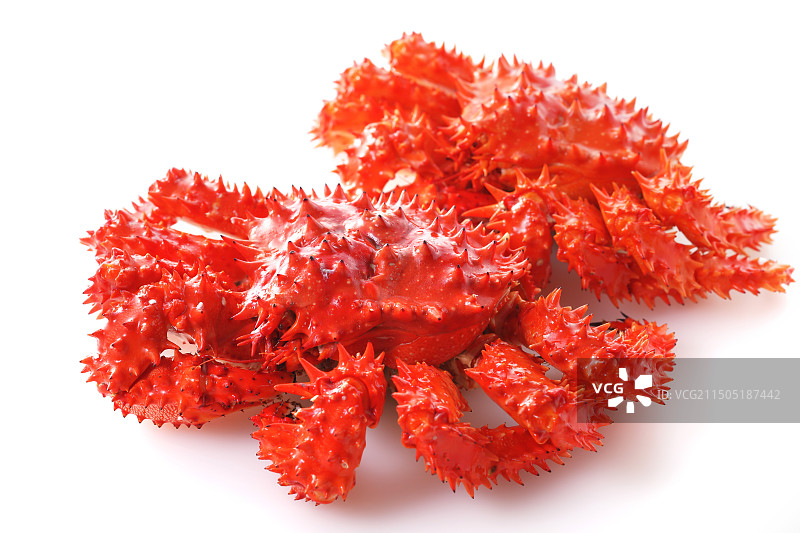 花咲蟹图片素材