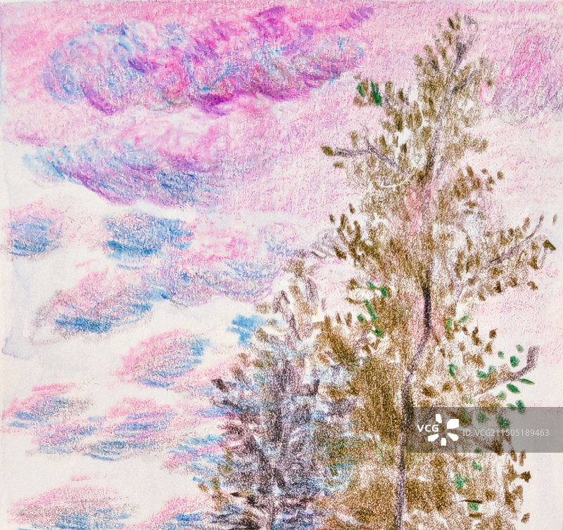 夏日火烧云下的树图片素材