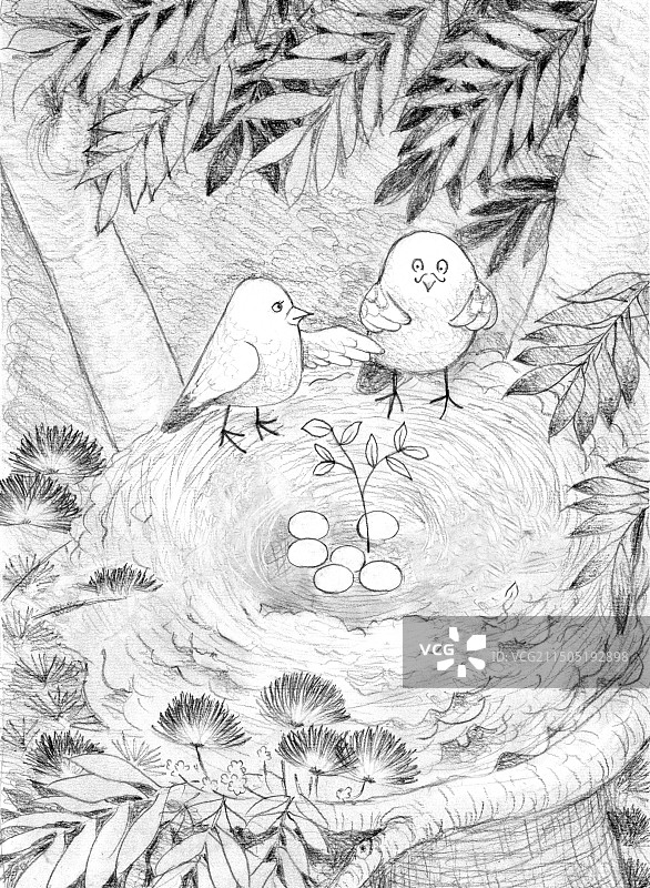 小鸟一家图片素材