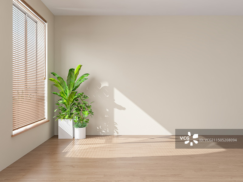 现代窗户边盆栽植物图片素材