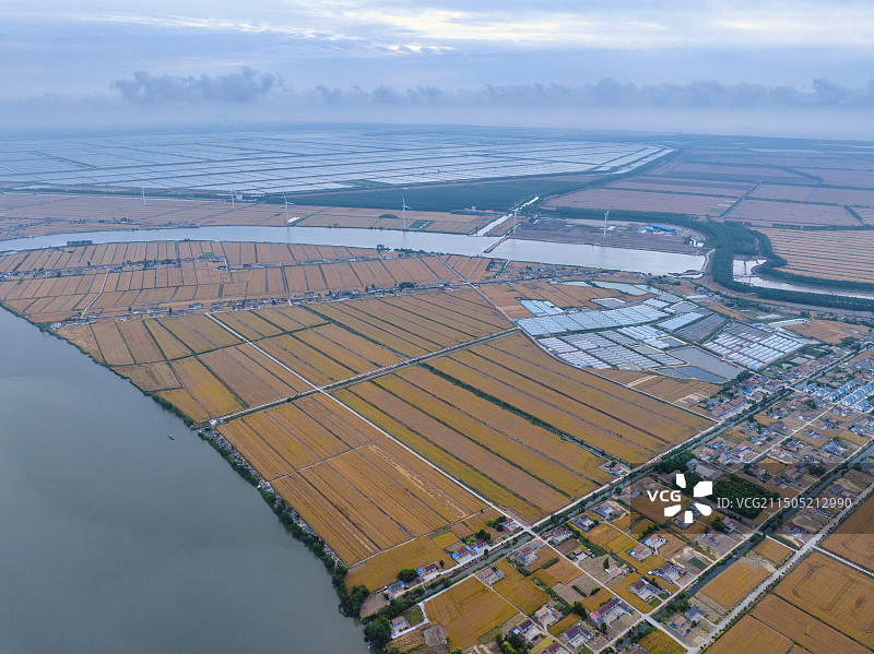 盐城亭湖区射阳新洋港片区的万亩良田-拍摄于射阳海堤线图片素材