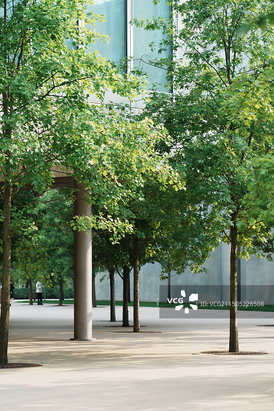夏天的杭州天目里建筑图片素材