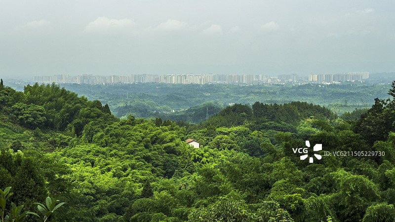 满目苍翠生态城图片素材