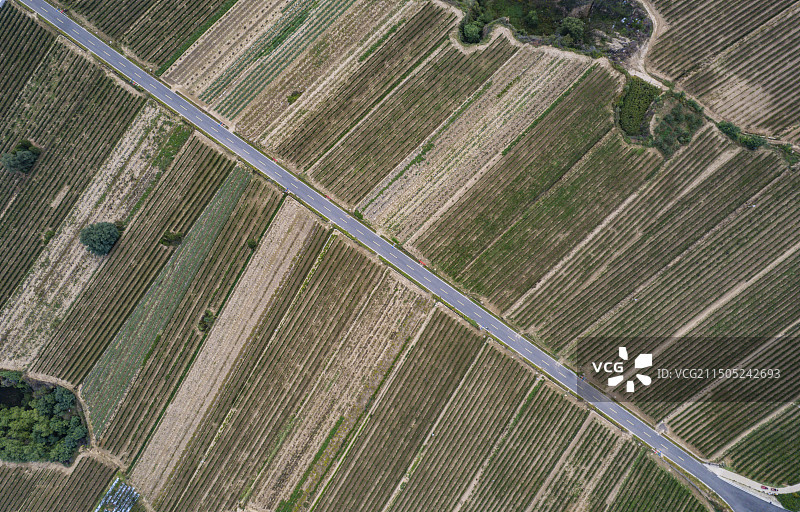乡宁县戎子酒庄葡萄种植基地航拍景观图片素材