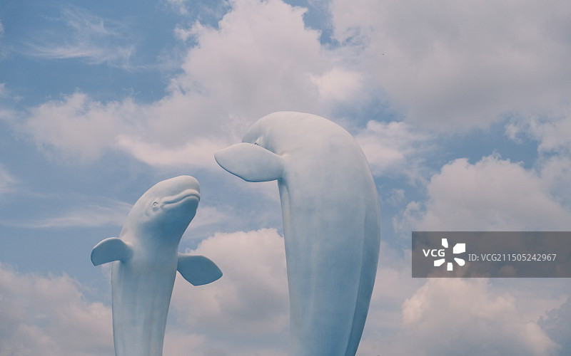 哈尔滨极地馆的白鲸雕塑图片素材