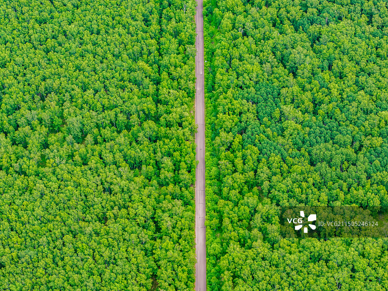航拍视角下茂密的森林与穿过森林的公路图片素材