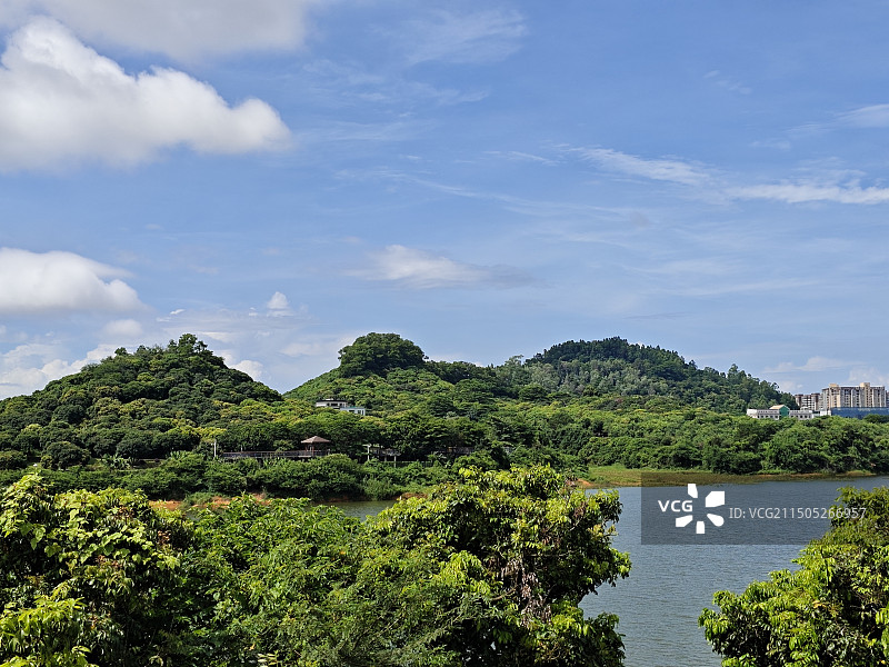 夏天的城市公园景色图片素材