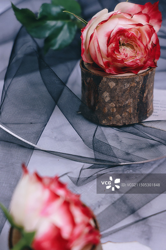 桌上玫瑰的高角度视图图片素材