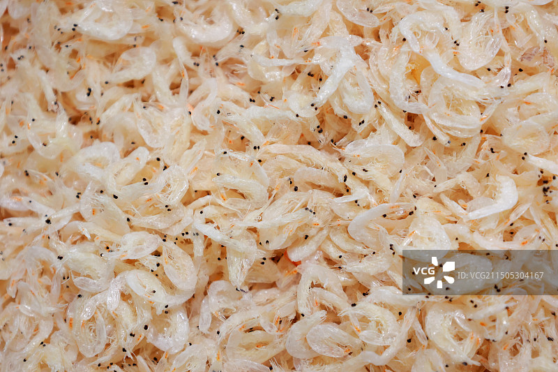 干货小虾皮图片素材