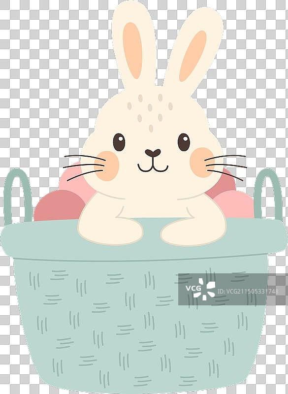 坐在洗衣篮里的兔子图片素材