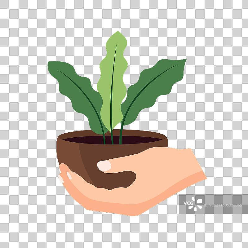 手捧花盆扁平设计图片素材