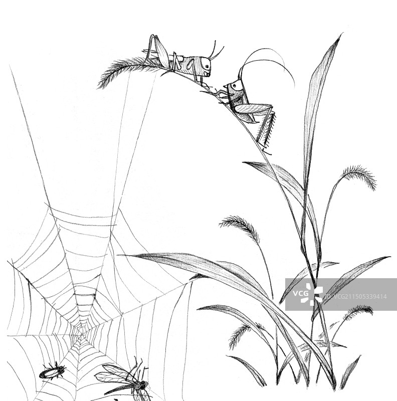 铅笔画图片素材