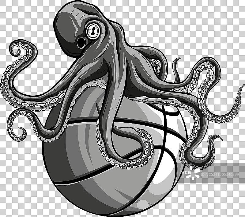 白色背景上的单色章鱼和篮球图片素材