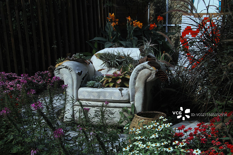 随寓而安图片素材