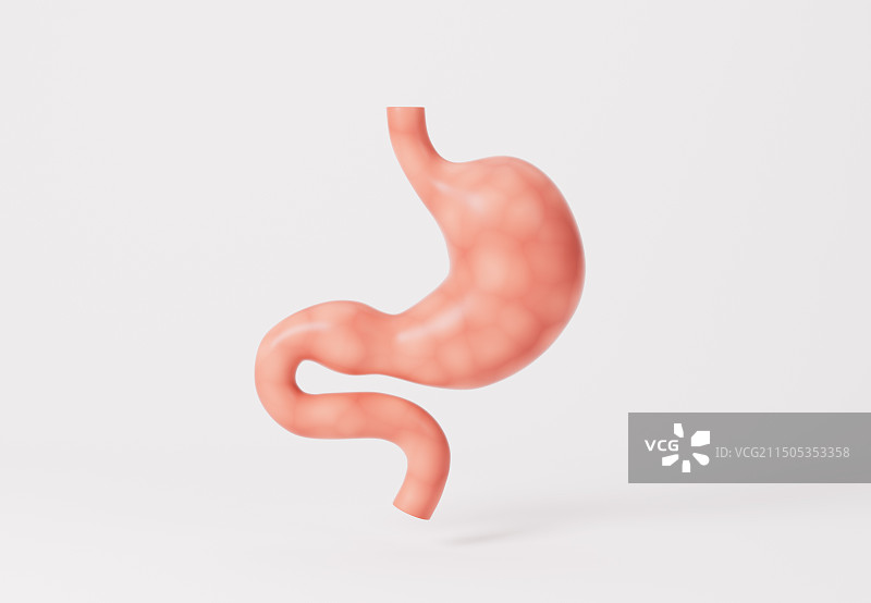 消化系统人体胃3D渲染图片素材