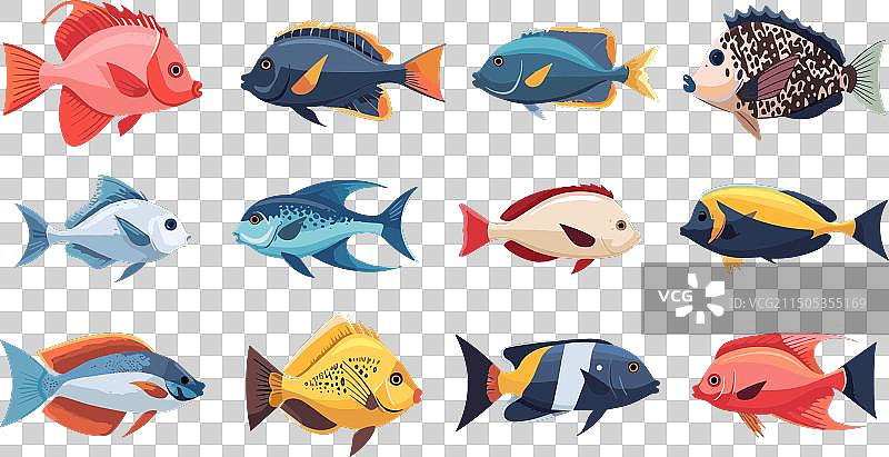 海洋卡通鱼类简笔画合集图片素材