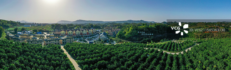 宜宾川南橘乡图片素材