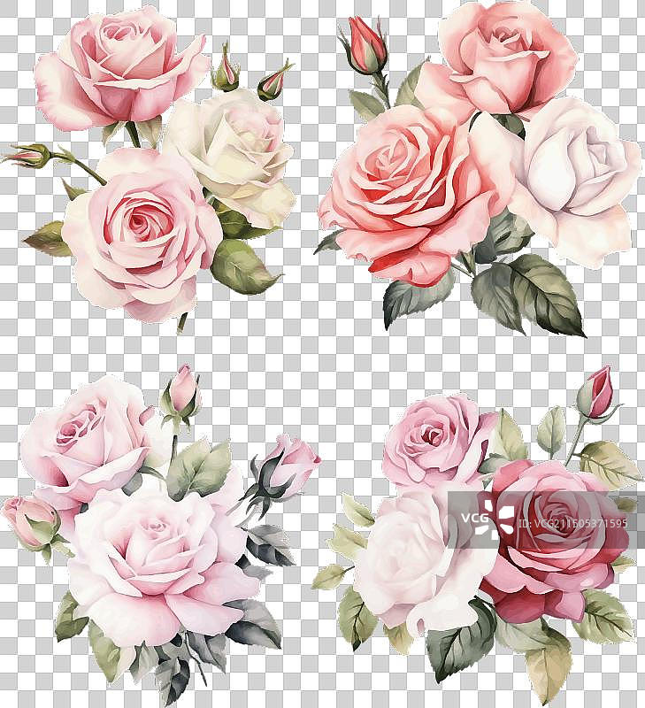 粉白色玫瑰复古水彩花卉合集图片素材