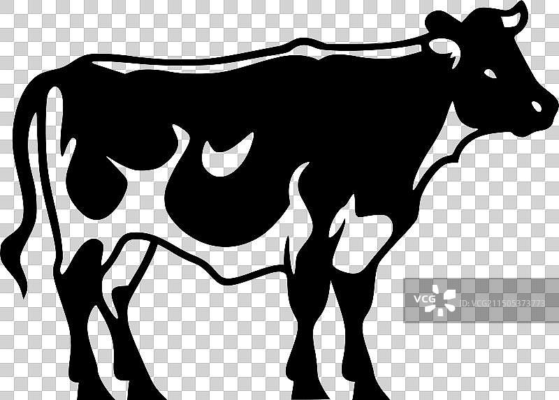 奶牛高品质Logo设计，T恤图案首选图片素材