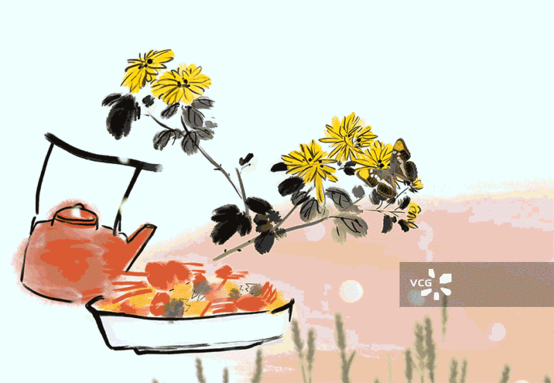 秋天，螃蟹，大闸蟹，菊花，中秋节，重阳节，食品，美味，清新，治愈，插画，视频，图片素材