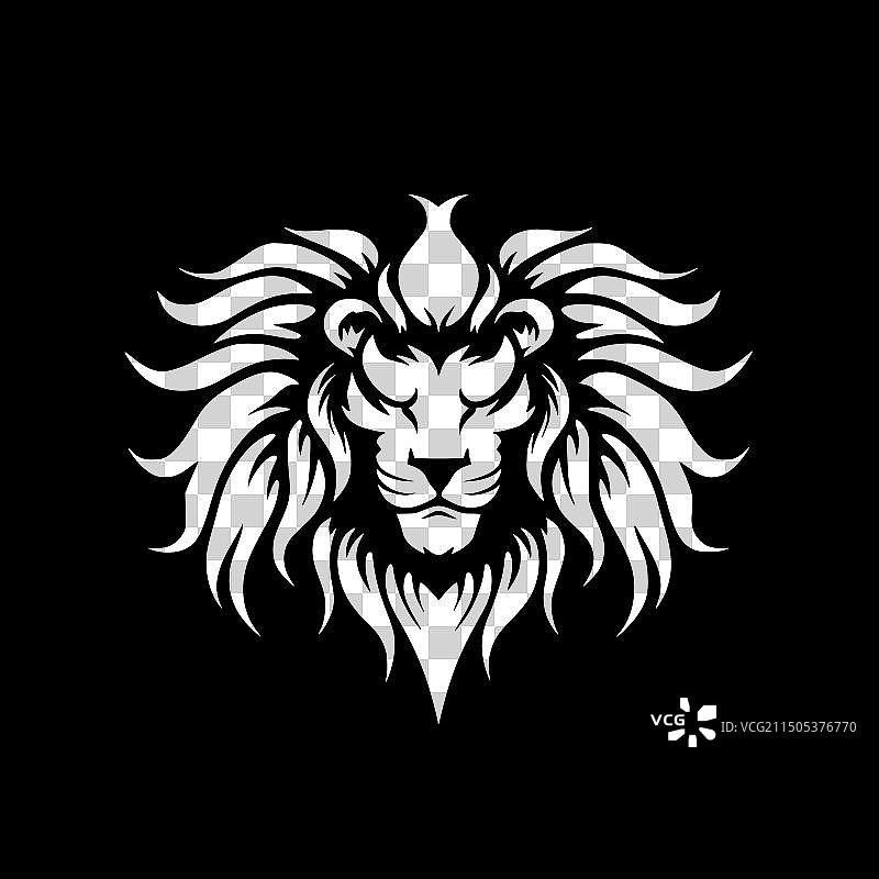 狮子——黑白相间图片素材
