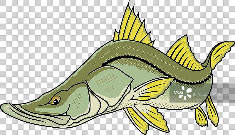 海鲈鱼钓鱼标志T恤图案图片素材