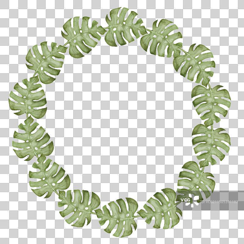 带龟背竹的水彩花环圆形边框图片素材