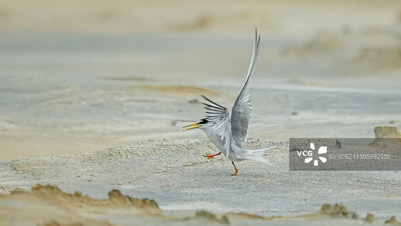 大步流星图片素材