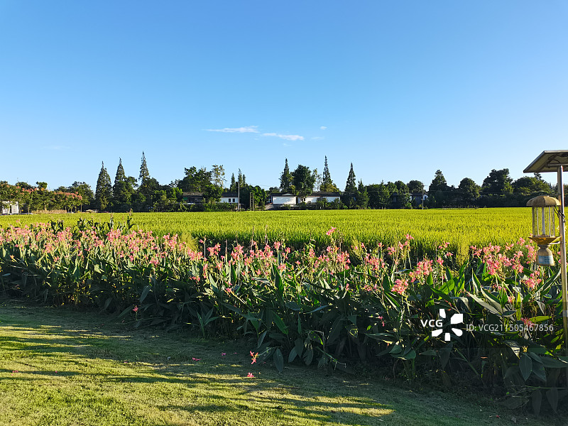 春日限定图片素材
