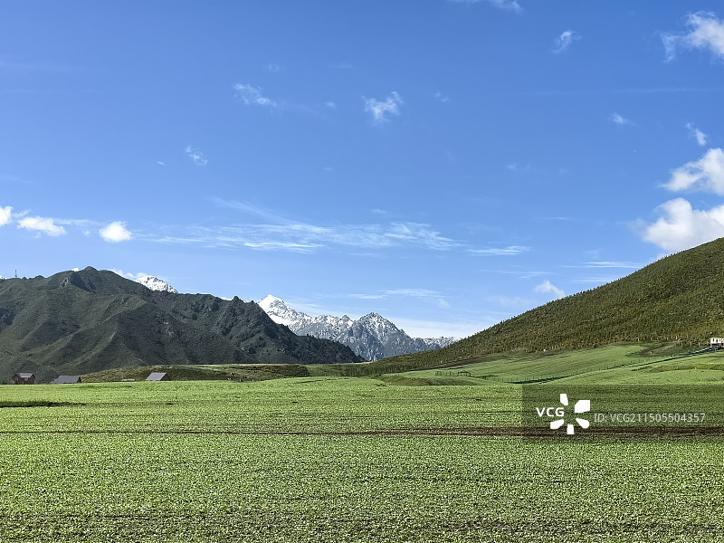 扁都口生态休闲旅游区图片素材