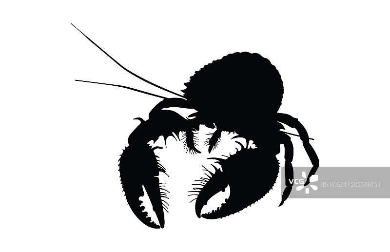 寄居蟹剪影设计图片素材