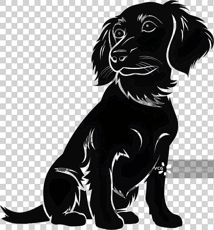 白色背景上的狗的黑色轮廓图片素材