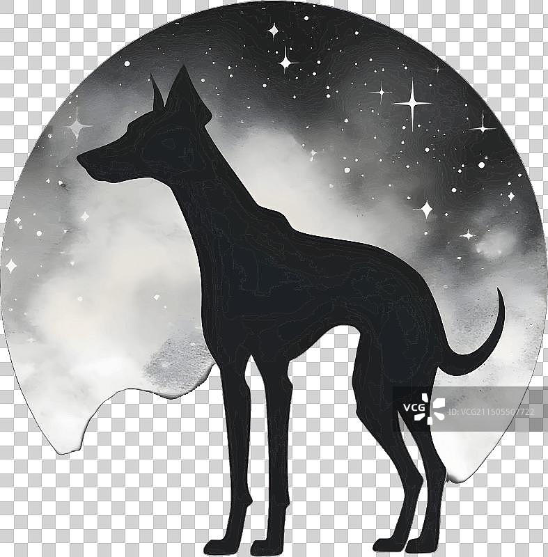 白色背景上的狗的黑色轮廓图片素材