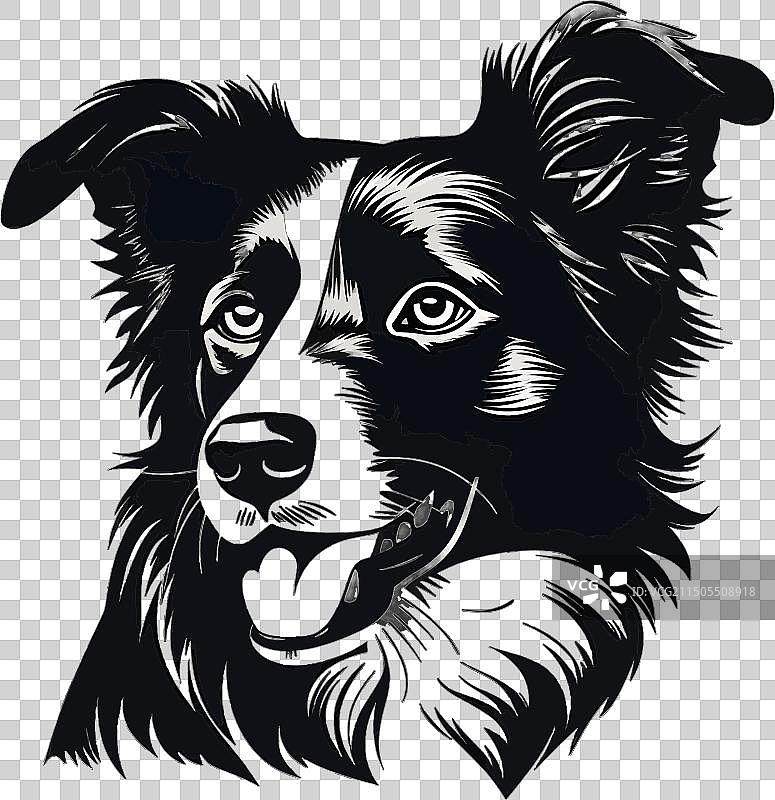 白色背景上的狗的黑色轮廓图片素材