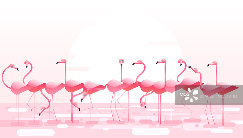热带鸟类粉色火烈鸟背景图片素材