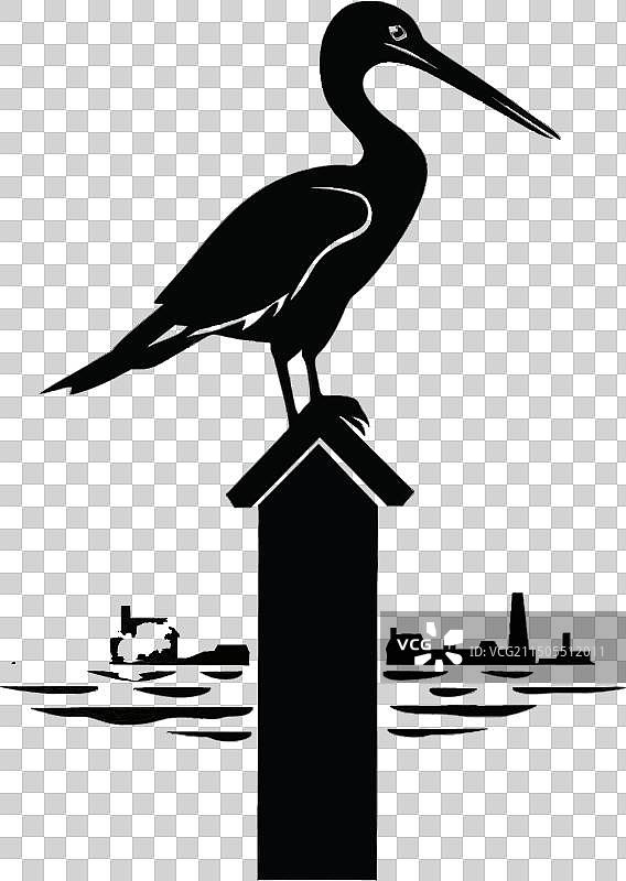 白色背景上的鹈鹕黑色剪影纹身图片素材