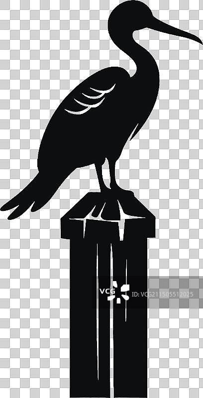 白色背景上的鹈鹕黑色剪影纹身图片素材