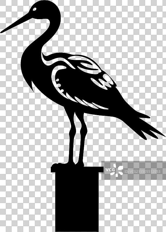 白色背景上的鹈鹕黑色剪影纹身图片素材