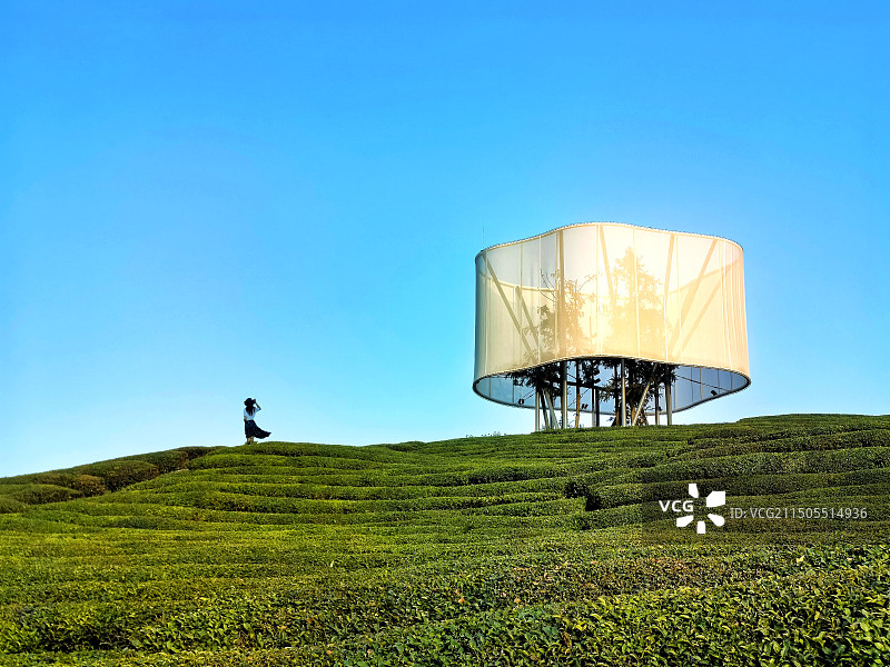 网红打卡地-江西浮梁大地之灯图片素材