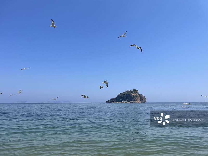 大连·棒棰岛图片素材