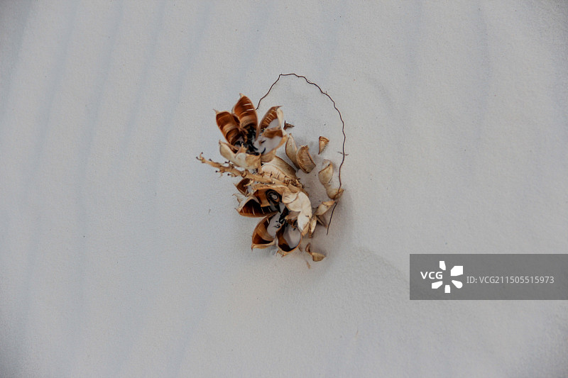 白沙国家公园地理风貌图片素材